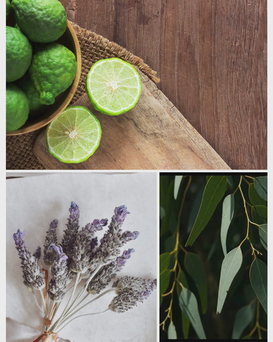 Ocean Breeze Fragrance: Natural Perfume